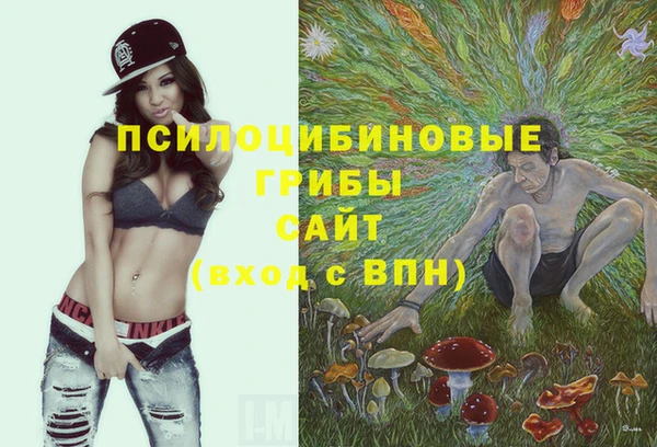 сатива Кинешма