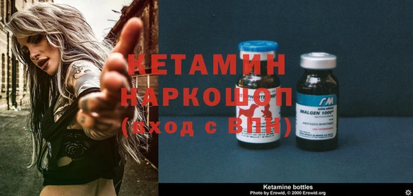 сатива Кинешма