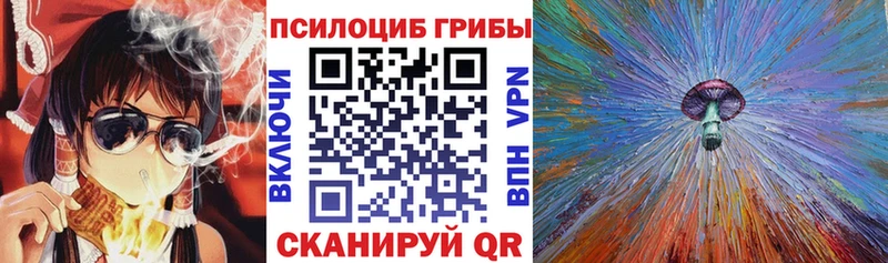 darknet формула  Сураж  Галлюциногенные грибы Cubensis 